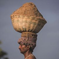 全球沙荒：20年貿(mào)易額增長六倍 中國占亞洲一半，一場全球資源危機！正在愈演愈烈！