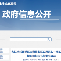 設(shè)計(jì)年通過能力600萬噸！江西九江一碼頭工程即將開建