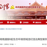 超時、超量、越界采砂！湖南通報6起生態(tài)環(huán)境領(lǐng)域違紀違法典型案例 2起與砂石有關(guān)！