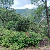 2礦同出！260萬方/年！廣東砂石大礦掛牌出讓