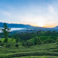 500萬噸/年！湖北儲(chǔ)量約1.12億噸建筑用花崗巖礦擬掛牌出讓