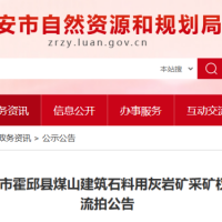 起始價8億元！安徽一建筑石料用灰?guī)r礦無人報價流拍
