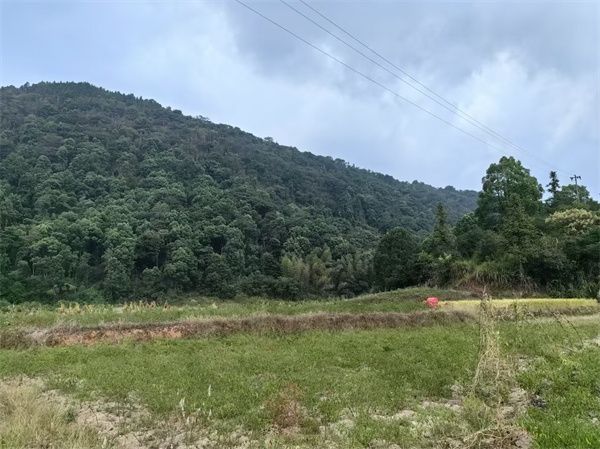 老塘礦區(qū)現場圖.jpg